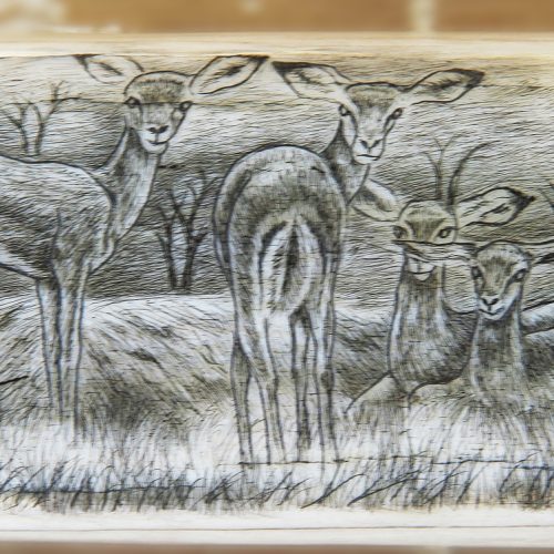 Giraffe Bone