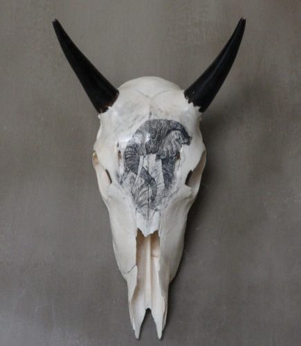Blue Wildebeest Skull Scrimshaw