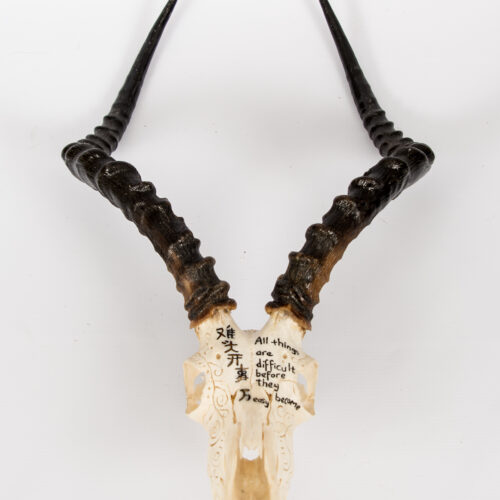 Impala Scrimshaw