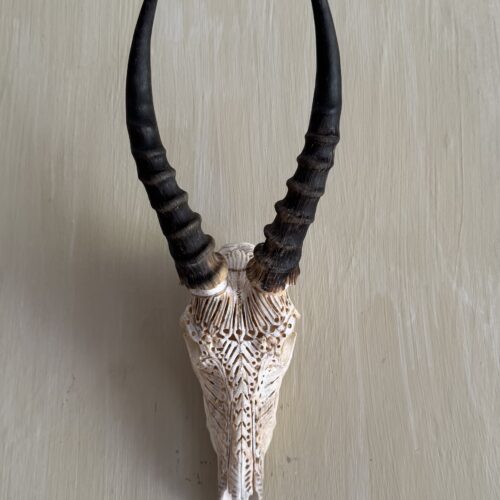 Blesbuck Carved Skull