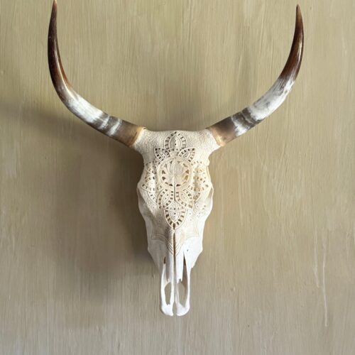 Nguni Cattle Skull Carved